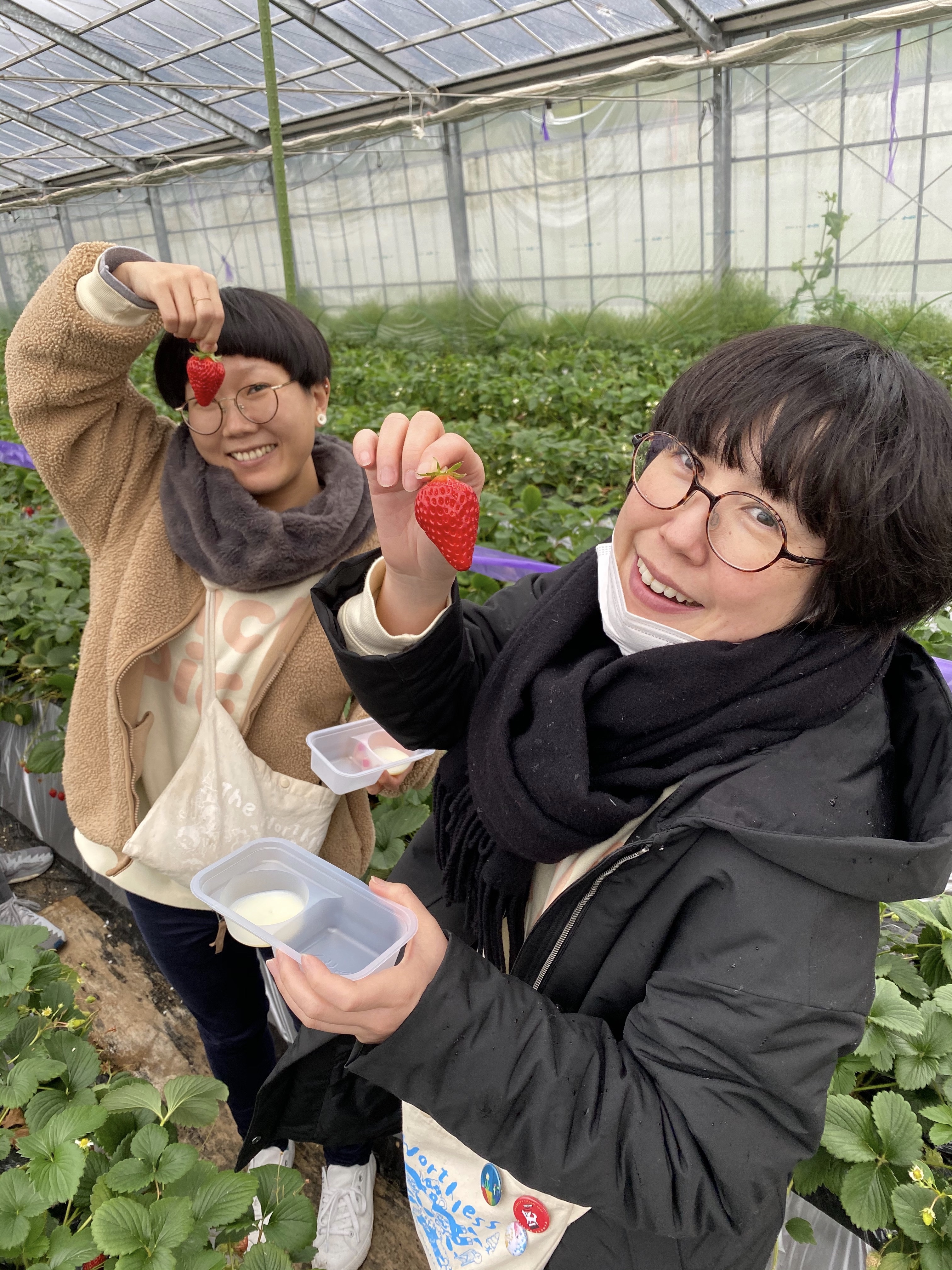 DUのいちご狩り